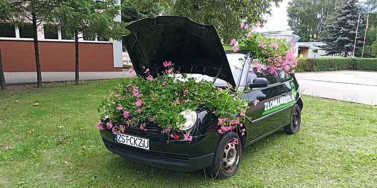 Dekoracja 1 Lipca 2023 357278609 299147195799462 3238813119689943744 n