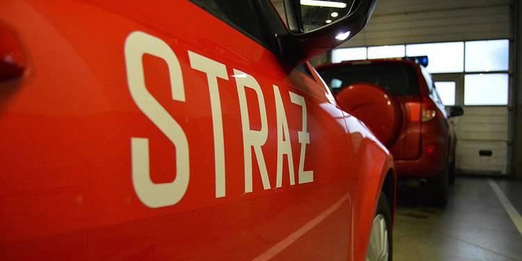 DSC0043 Aed 21 Sierpnia 2023 Dsc 0043