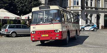 Ozdabianie wrzosów oraz podróż zabytkowym autobusem (zdjęcia)