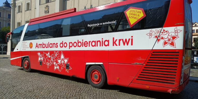 3780881597915420563113728834638908892196365n   Krwiodawstwa 11 Września 2023 378088159 791542056311372 8834638908892196365 n