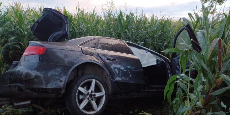 kmp Wypadku 4 Września 2023 Kmp