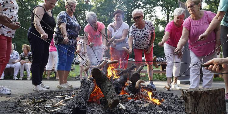 DSC6805    12 Września 2023  dsc6805