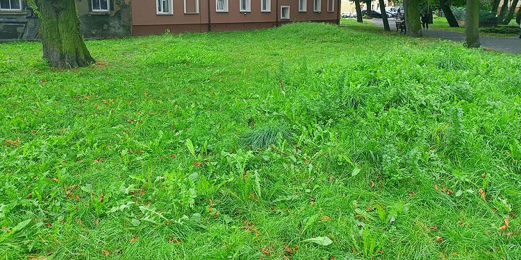 Skwer 15 Września 2023 Img20230915120427