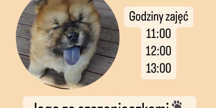 unnamed Jogi 5 Września 2023 Unnamed