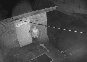 Mężczyzna ukradł z chlewni aż 115 warchlaków!