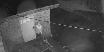 Mężczyzna ukradł z chlewni aż 115 warchlaków!