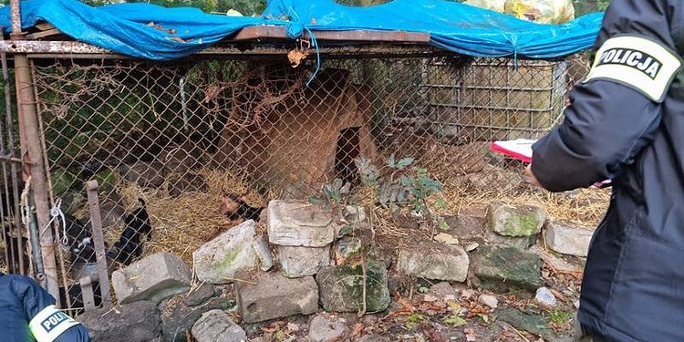 321348443   Zwierząt 23 Października 2023 321 348443