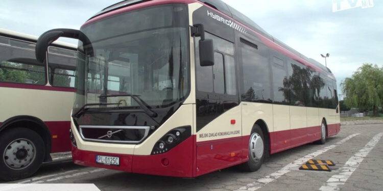 leszno   Wszystkich Świętych 27 Października 2023 Leszno