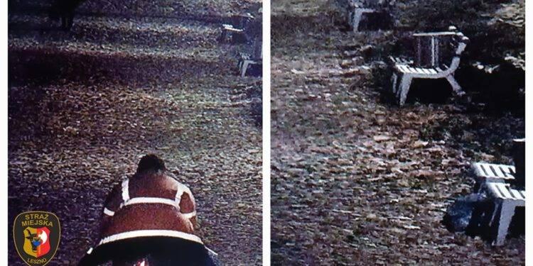 Podrzucił odpady w miejsce publiczne i odjechał