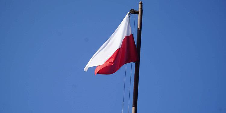 Mecze 18 Listopada 2023 Dsc3648 scaled