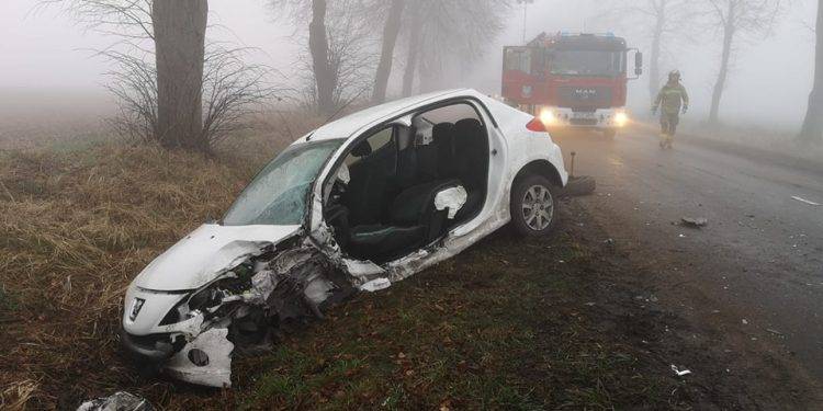 Fala 27 Lutego 2024 Mgła