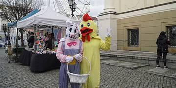 Zajączek zawitał na leszczyński rynek (zdjęcia)