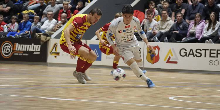 DSC9331 3 Marca 2024 dsc9331