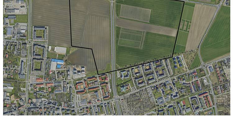 teren   Studenci 6 Marca 2024 Teren