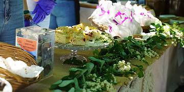 „Apetyt na aktywność” przykuło uwagę mieszkańców (zdjęcia)