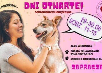 Znajdź Przyjaciela: Dni Otwarte w Schronisku w Henrykowie!