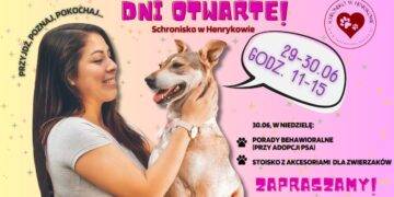 Znajdź Przyjaciela: Dni Otwarte w Schronisku w Henrykowie!