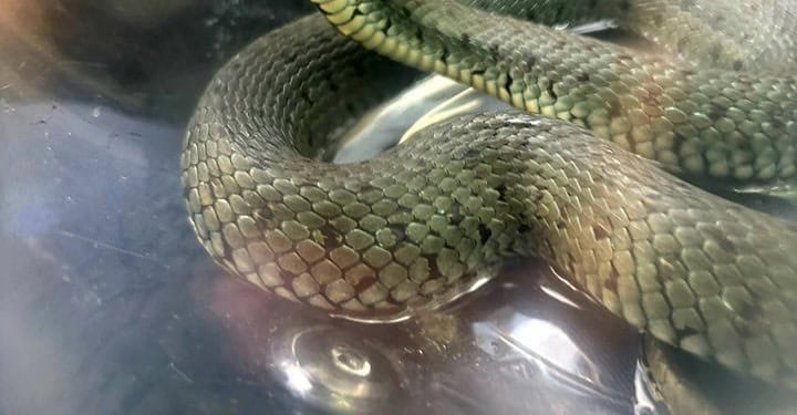 4489555281018055180322987277024716172696476n    26 Czerwca 2024 448955528 1018055180322987 277024716172696476 n