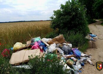 Zaśmiecał przy żwirowni. Wpadł przez fotopułapkę