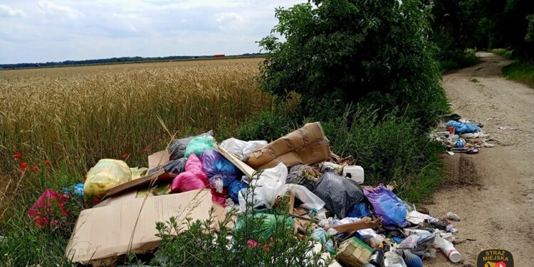 44895558810180480836570306809267062331272481n 26 Czerwca 2024 448955588 1018048083657030 6809267062331272481 n