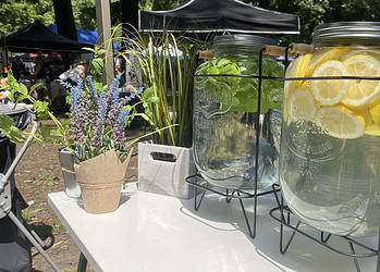 Pełnia smaków na placu Kościuszki (zdjęcia)