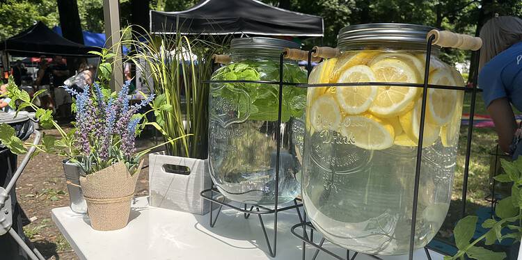  29 Czerwca 2024 Img 2567