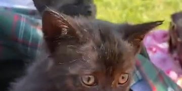  14 Czerwca 2020 Ersfef5