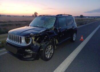 Tragedia na S5. Pieszy zginął na miejscu