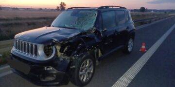 Tragedia na S5. Pieszy zginął na miejscu