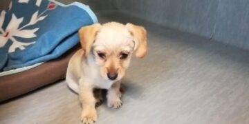  14 Czerwca 2020 Image 123650291