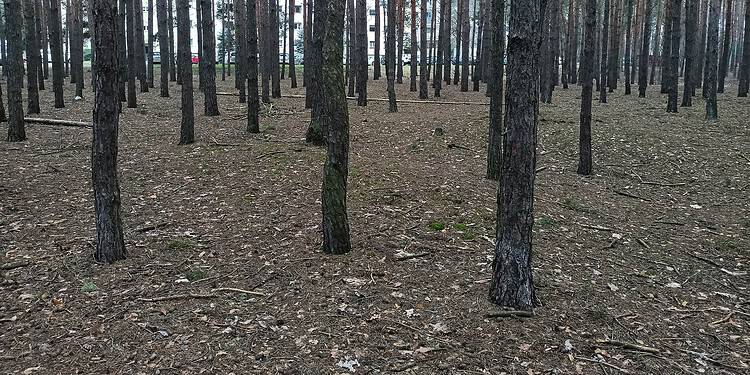 3331545969047833940702648749693255411246197n    23 Lipca 2024 333154596 904783394070264 8749693255411246197 n