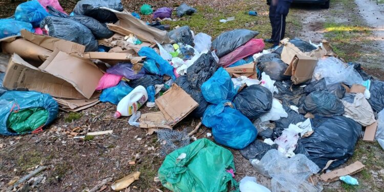  2 Lipca 2024 449679771 122129646968276072 4438216219605984767 n