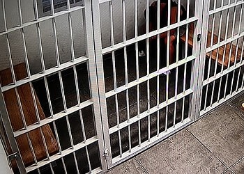 Pijany groził uczestnikom dożynek. Trafił do aresztu