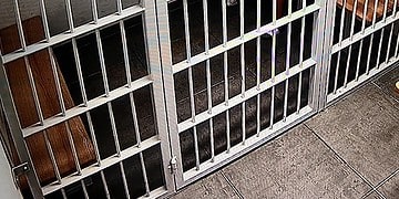  14 Czerwca 2020 312 371865