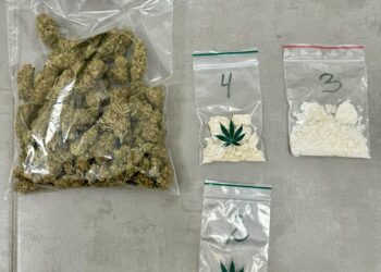 22-latek zatrzymany za posiadanie nielegalnych substancji