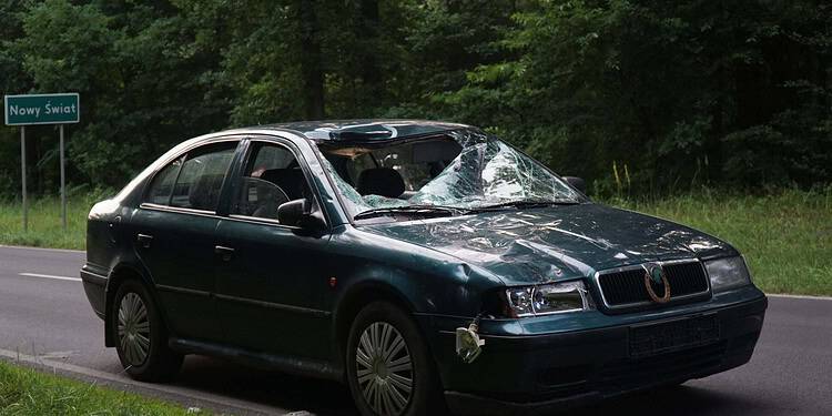 DSC07088scaled    10 Października 2024 Dsc07088 scaled