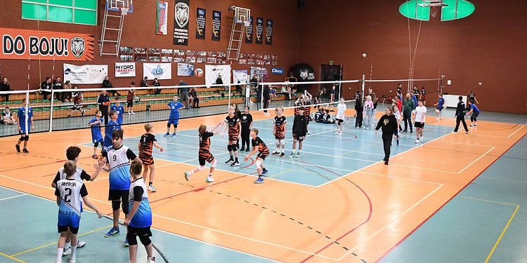 1DSC6669    22 Listopada 2024 1 dsc 6669