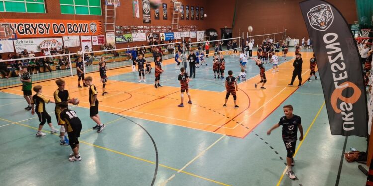  26 Listopada 2024 7otm 10