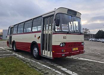 Darmowym autobusem na Leszczyńskie Mikołajki