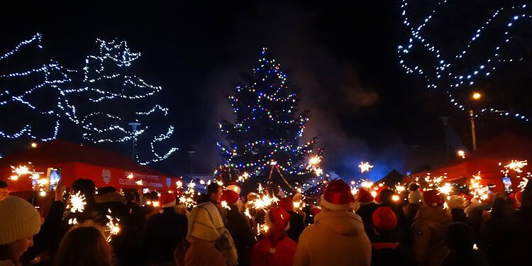  8 Grudnia 2024 Dsc06773