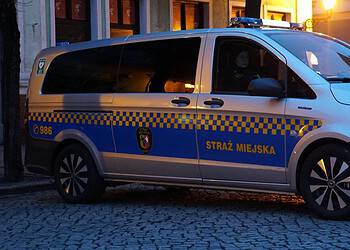 Agresywne psy zaatakowały innego czworonoga. Właściciel ukarany wysokim mandatem