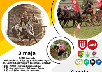 Majówka we Włoszakowicach – moc atrakcji!