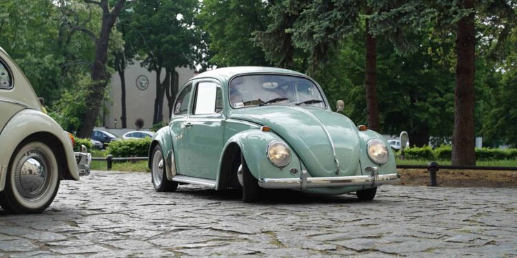 ML01344scaled 19 Maja 2025 Ml 01344 scaled