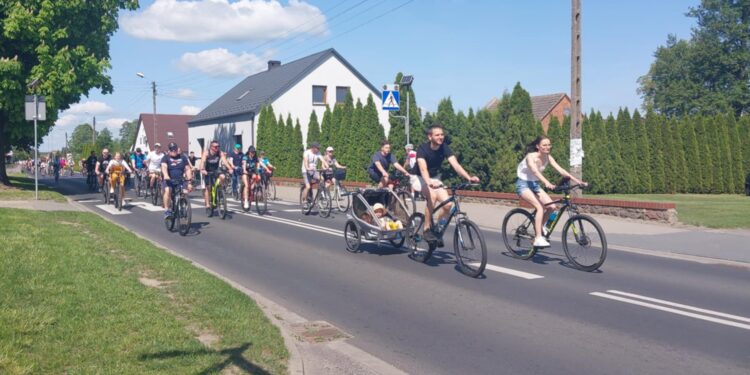 dc6e625bad6a4382a1e1983a5794ef1e 1 Maja 2025 Dc6e625b ad6a 4382 a1e1 983a5794ef1e