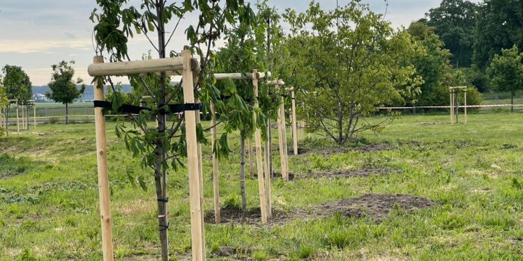 ff665ab55aad4d04b3bb5ac34678c047 12 Maja 2025 Ff665ab5 5aad 4d04 b3bb 5ac34678c047