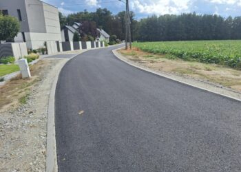  15 Czerwca 2020 Spacerowa gołanice