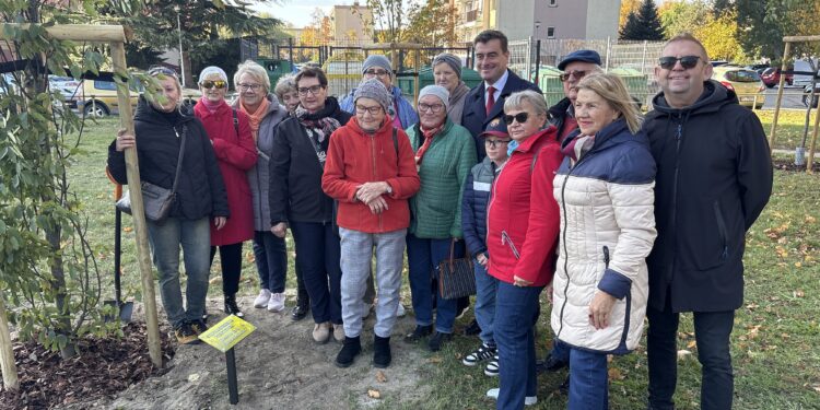 DJI20251021141154804 21 Października 2025 Dji 20251021 141154 804