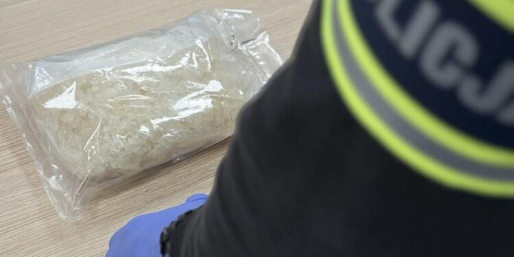 312413279 3 Grudnia 2025 312 413279