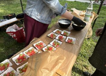 Person in a Denim Jacket Arranges Fruit Skewers of Watermelon and Green Grapes on Paper Liners at an Outdoor Picnic Table in a Park Park Setting 9 Stycznia 2020 