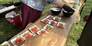 Person in a denim jacket arranges fruit skewers of watermelon and green grapes on paper liners at an outdoor picnic table in a park park setting.